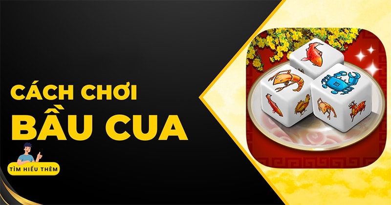 Tìm hiểu về cách chơi bầu cua online